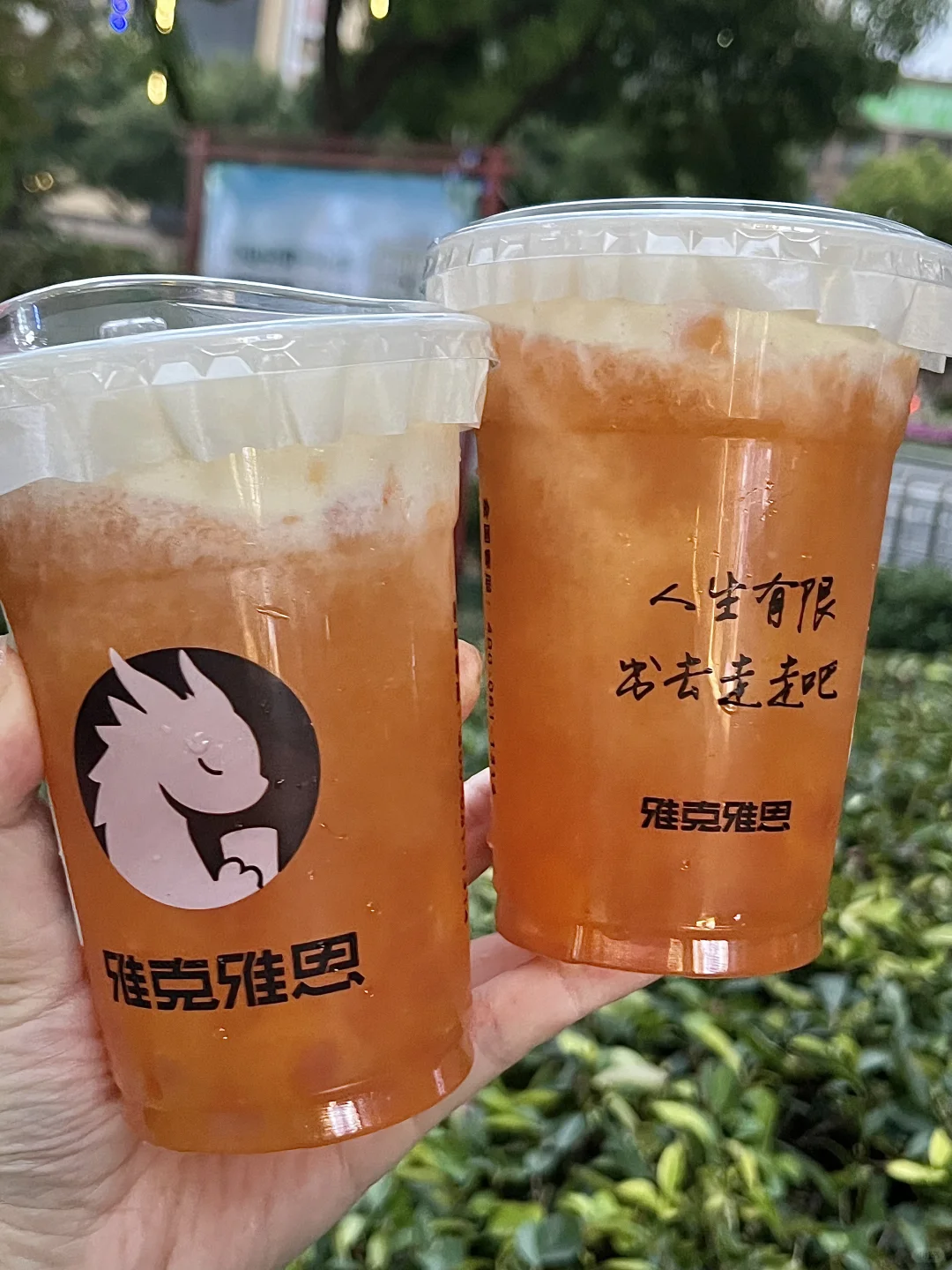 常州🆕品丨可以喝的柿子🍅