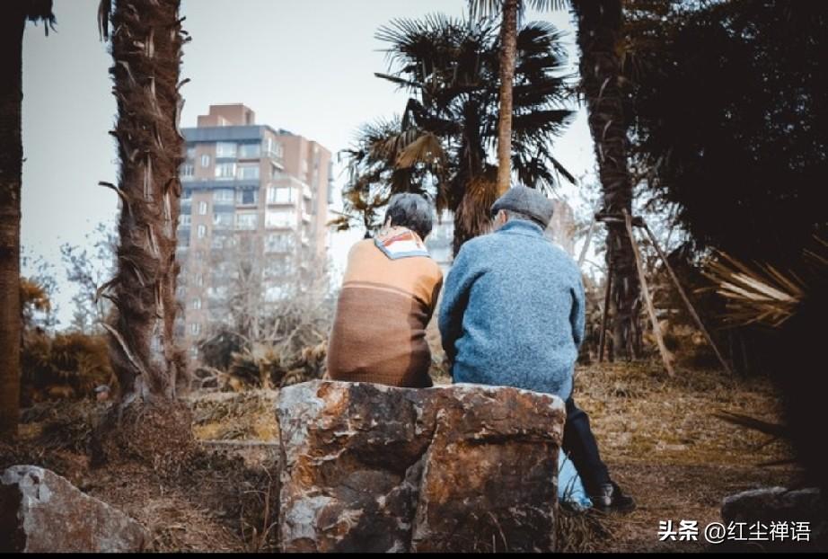 惨！老阿姨倾尽所有，换来的却是无家可归！这是值得所有老伙伴认真看的案例

人无远
