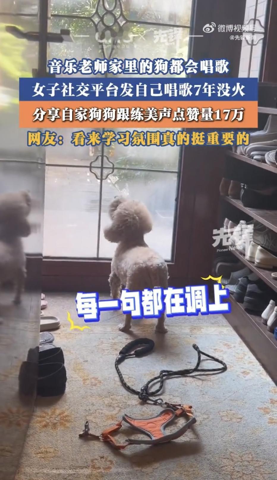 苦练7年唱歌无人关注，随手拍自家狗狗伴唱，直接拿下17万点赞
 
上海，一位音乐