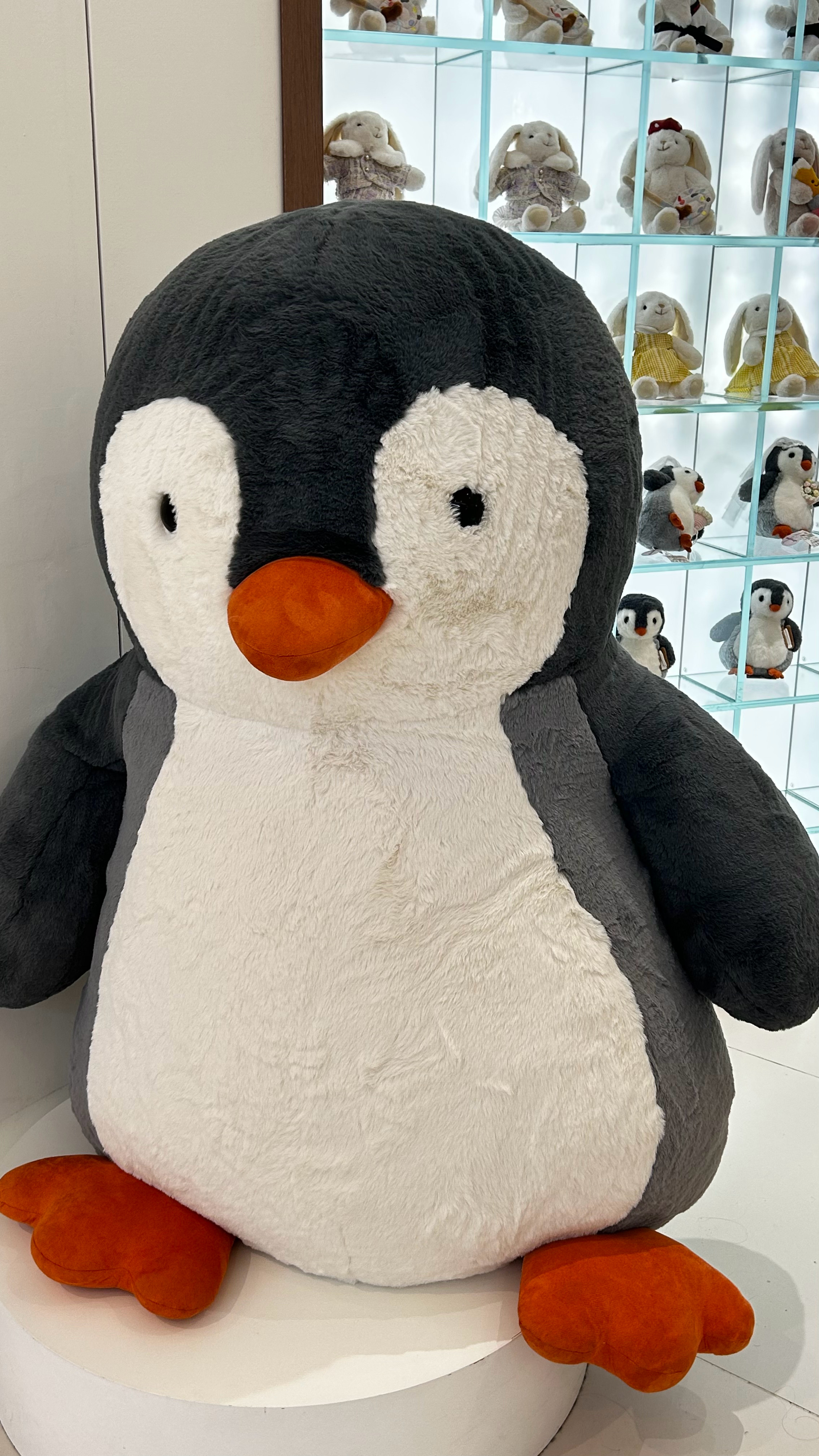 好大一只🐧 