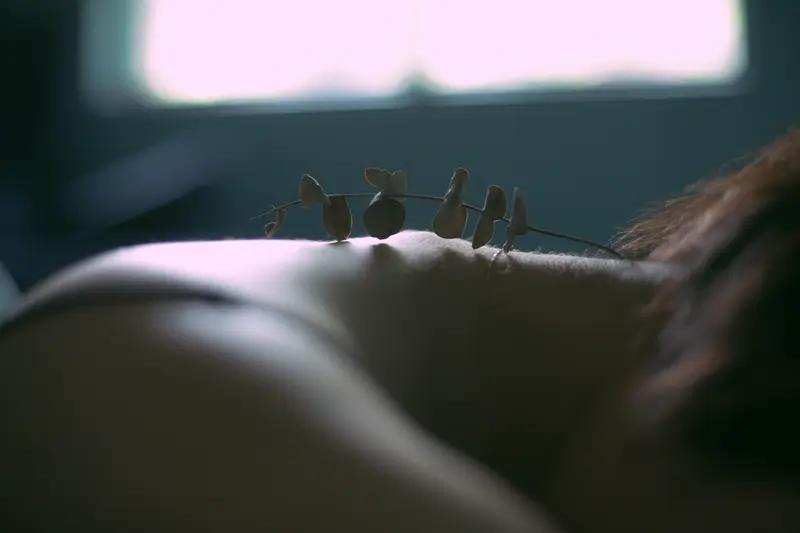 巴拿马政府不顾及自己的国家声誉出尔反尔违背了自己国家签订的贸易规则，是对自己国家