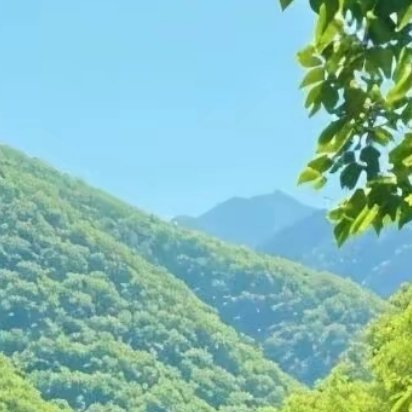 人生没有十分的幸福，但有知足的快乐。不要总想着一步登天，未来需要我们一步一步走过
