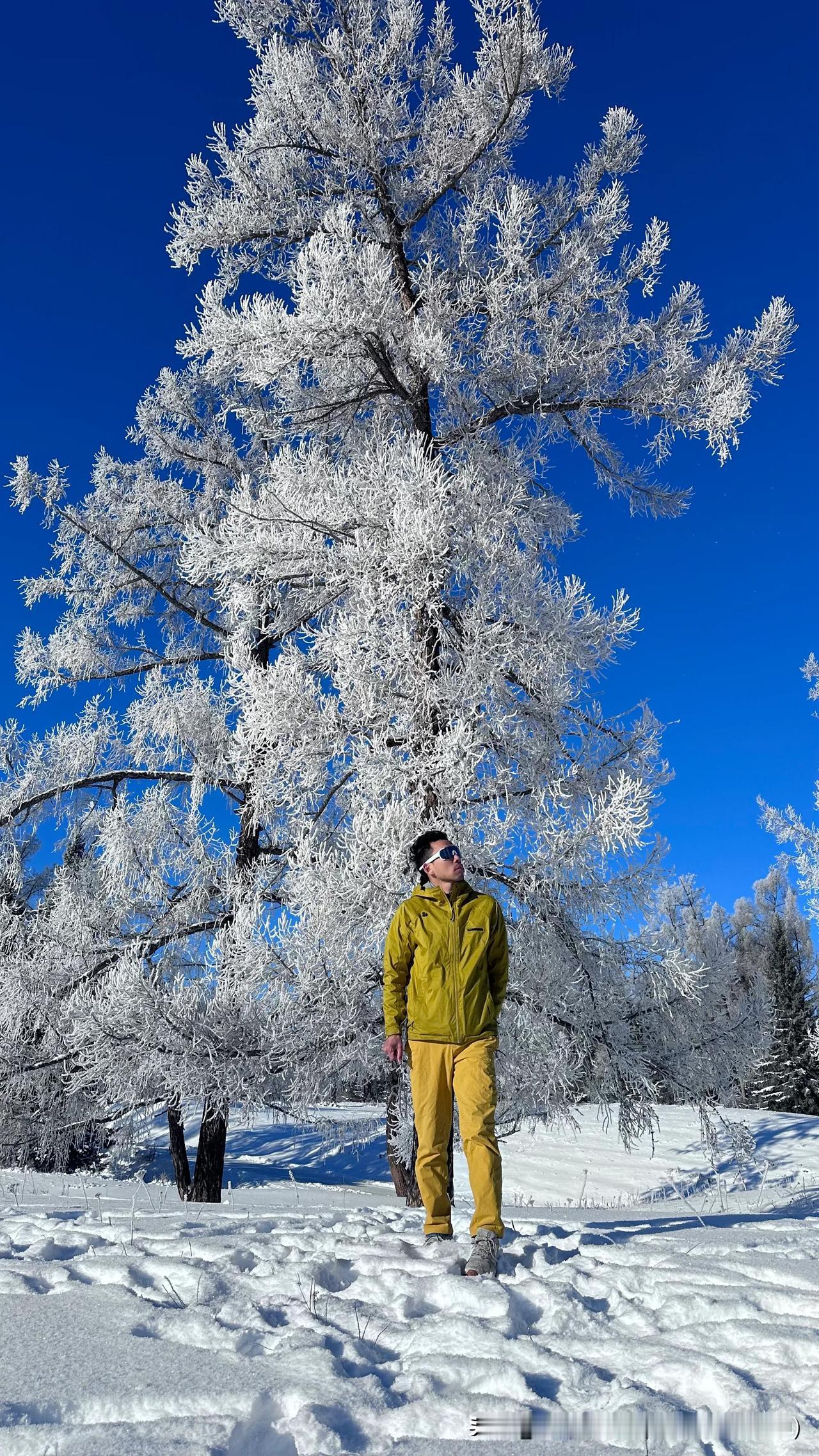 自驾新疆景点推荐这里应该是新疆冬天最值得来自驾的一个景区了，它就是距离乌鲁木齐只