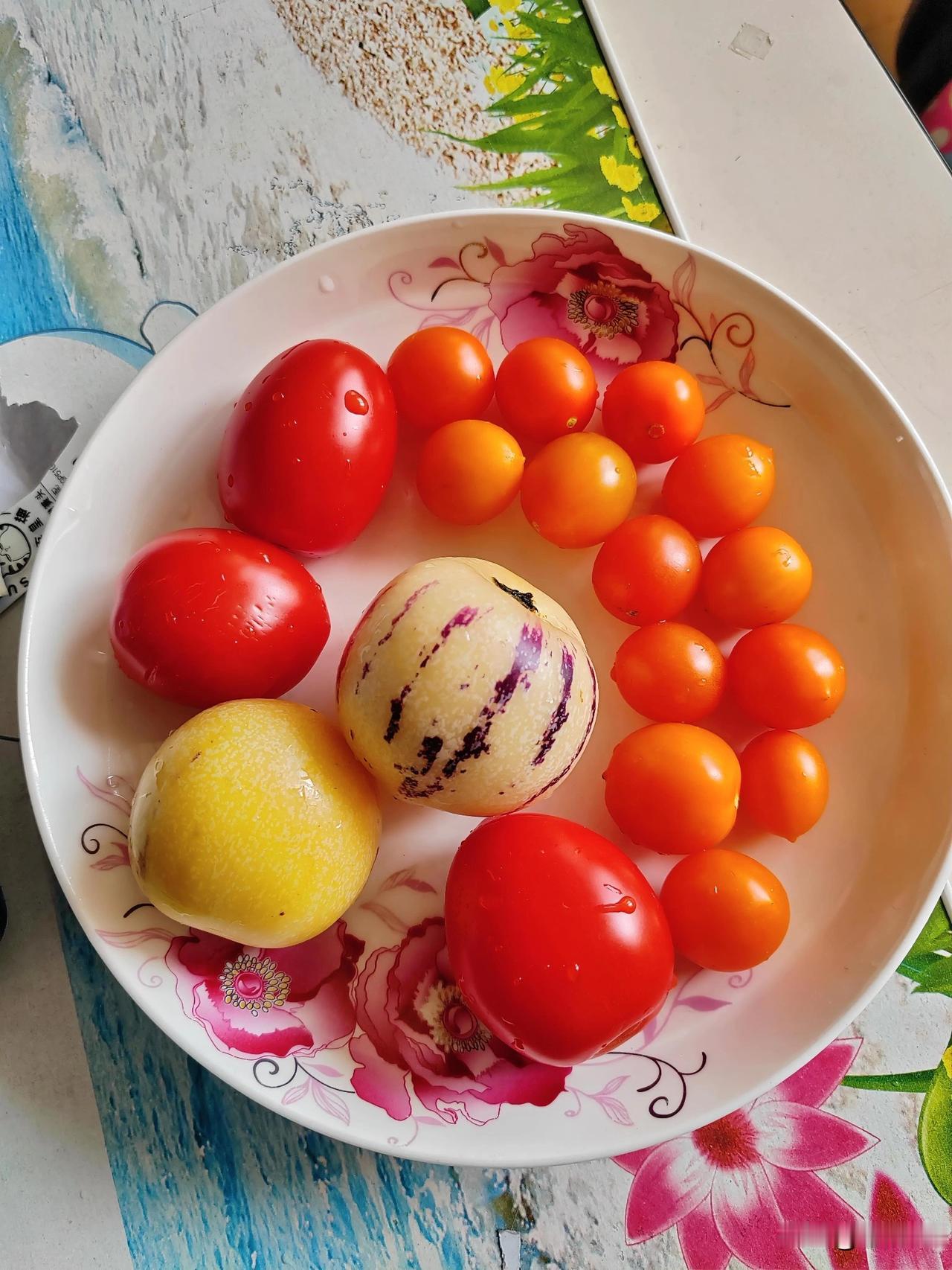舌尖上的美食，缤纷多彩的水果！🍽️ 盘里的清欢与期许！瓷盘如镜，盛着一碟鲜活的