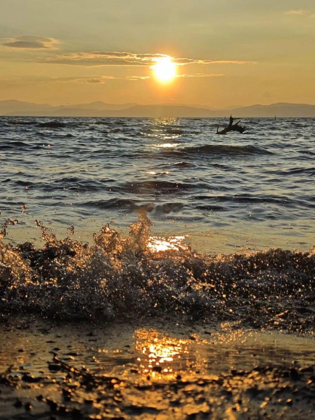 黑夜再长，也挡不住黎明的光。 ​​​