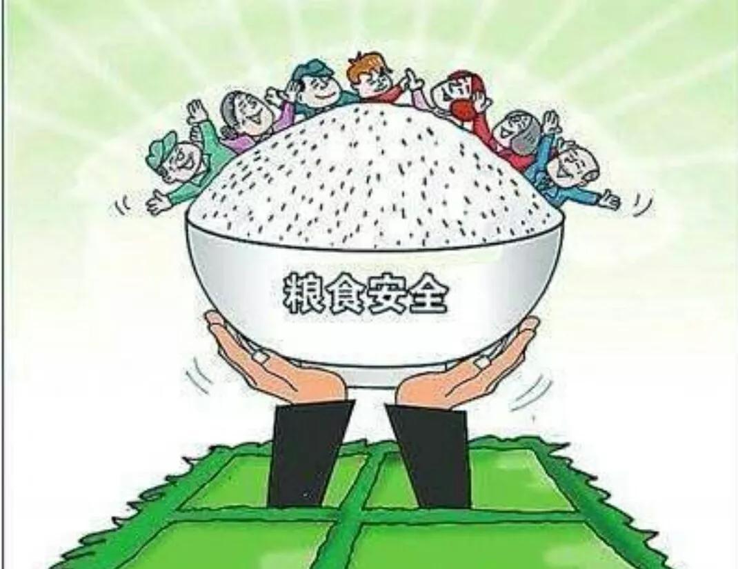 刘振起：中国的粮食安全如何
根据最新数据，中国粮食安全总体有保障，实现了“谷物基