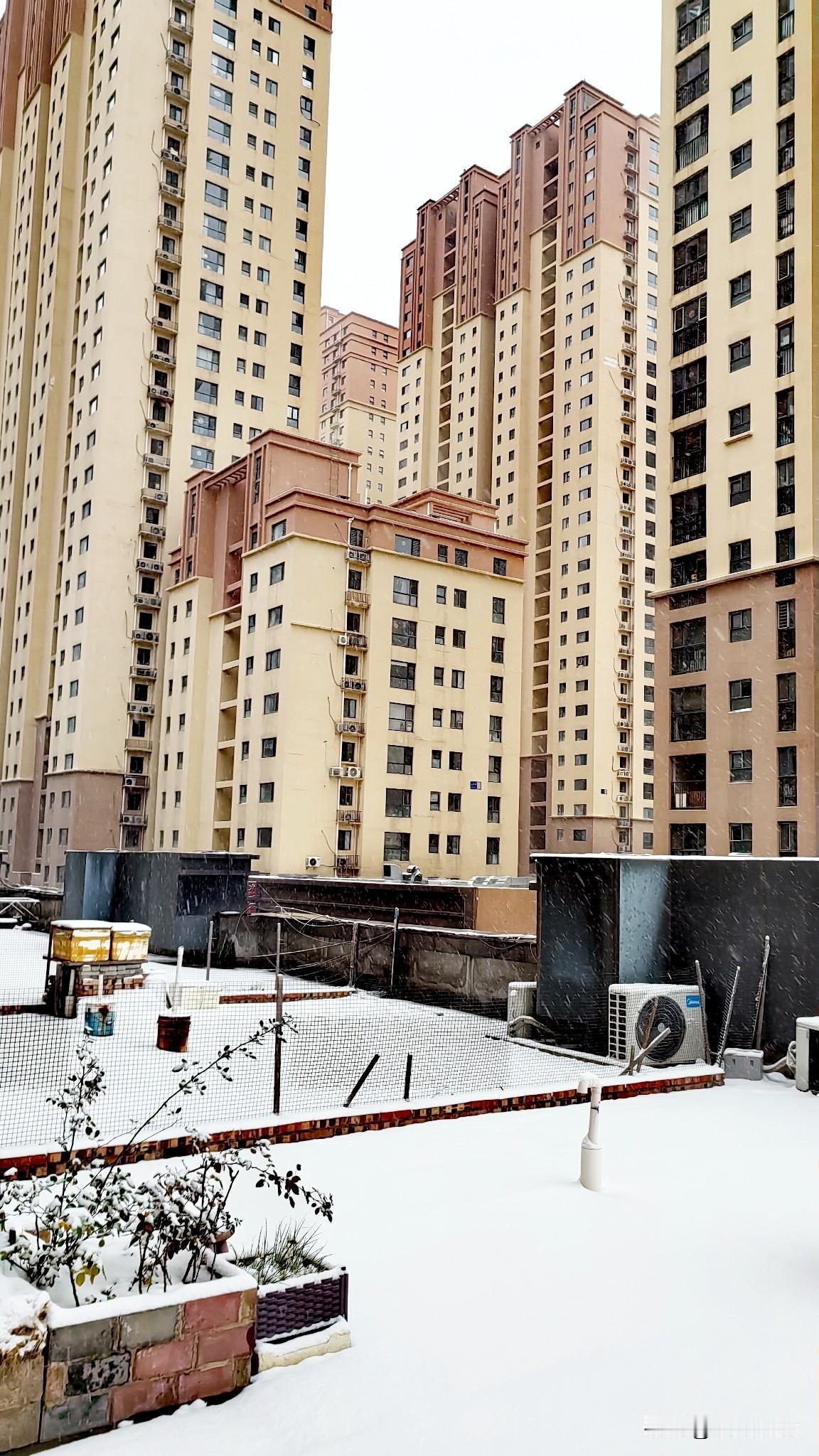 昨天石家庄的雪，
下的很大满天飞舞，
片片雪花似蝴蝶。

下雪了雪花纷飞，
空气