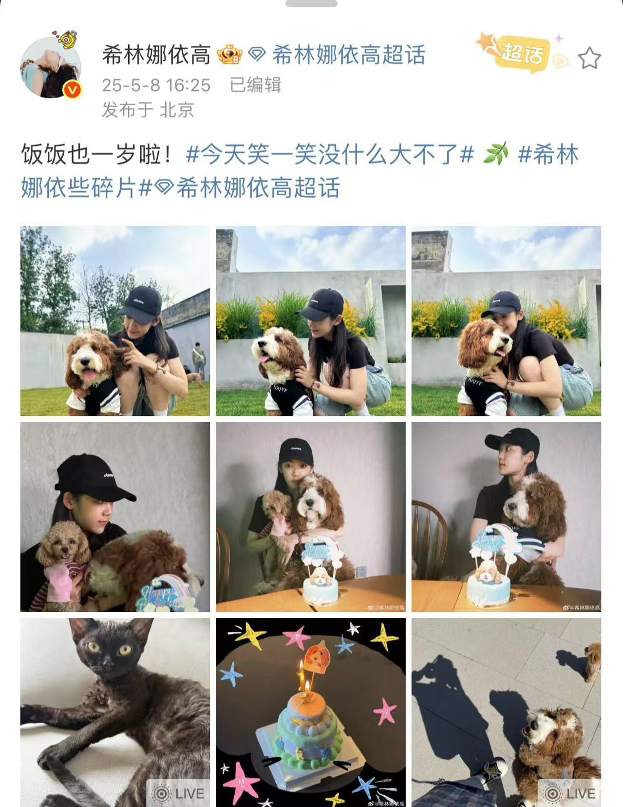 希林娜依高晒狗 希林娜依高晒狗真的是太有意思了呀，这一次真的是咱们的姐姐和她的潦