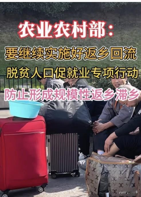 规模性返乡潮从来不是“归田园居”的浪漫，而是伪城市化戳破后的无奈逃亡。1.7亿进