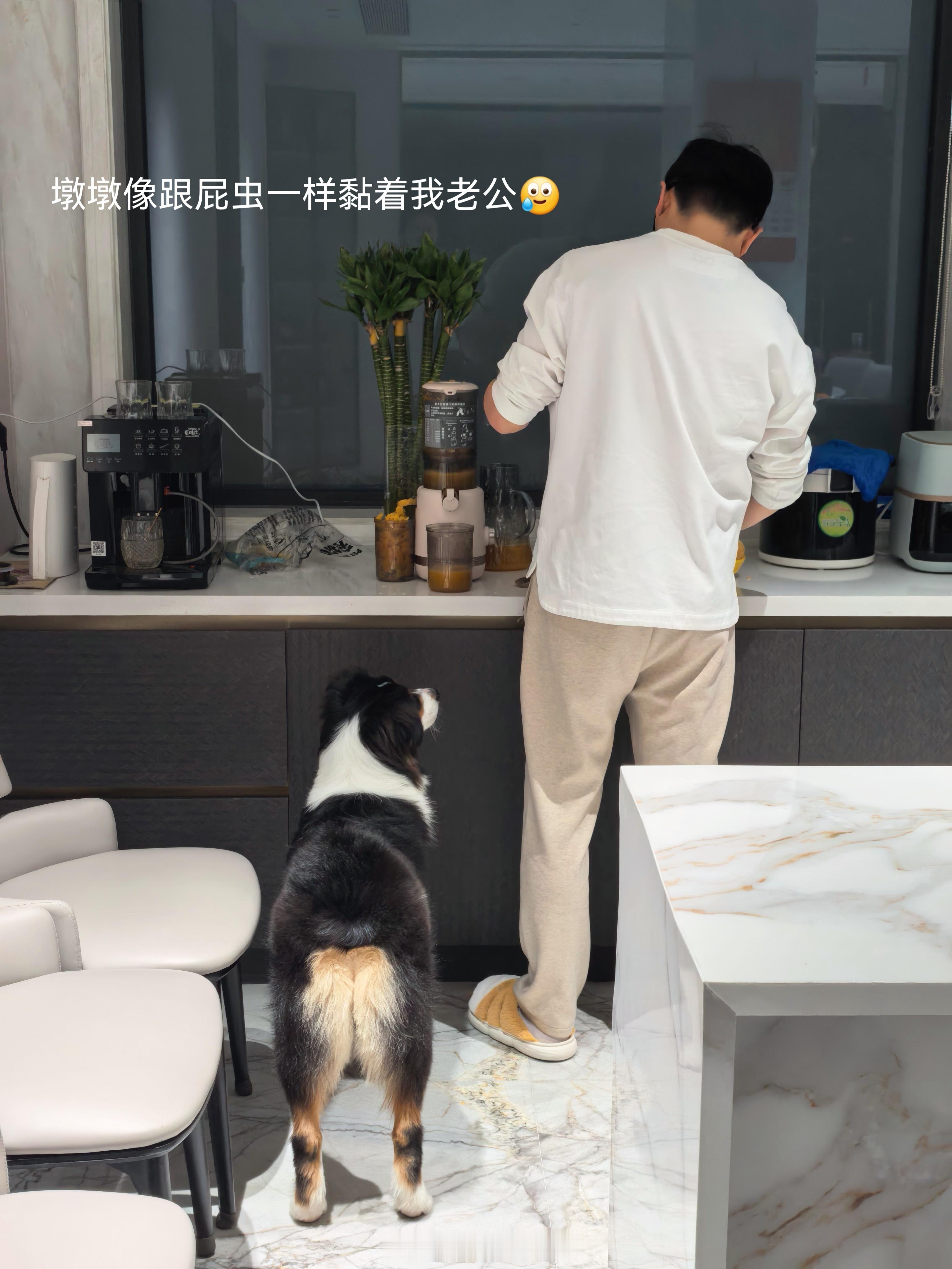 幸福小狗 