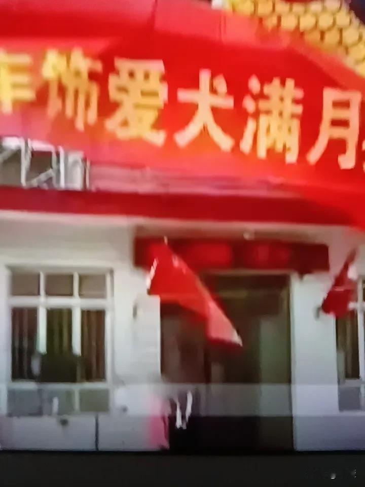 进入2026年，精彩真的是一个不罢又上一个。
骏马奔驰的第二天，一则给狗办满月宴