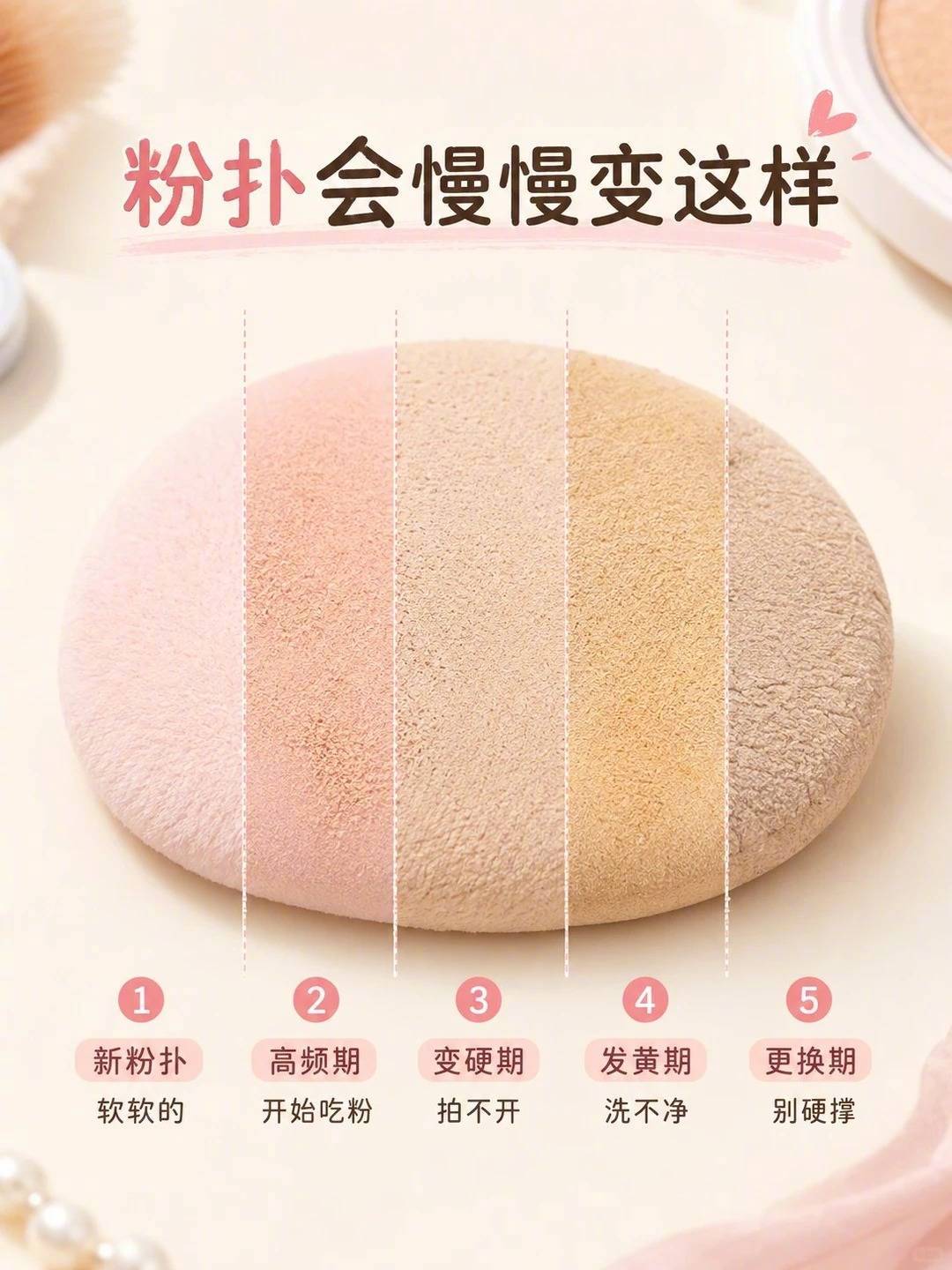 pdd回购榜top1商家的6个粉扑知识☁️ 粉扑一般会经历这几个阶段：1️⃣ 新