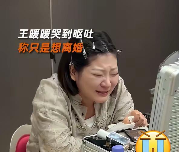 王暖暖离婚案开庭惊现