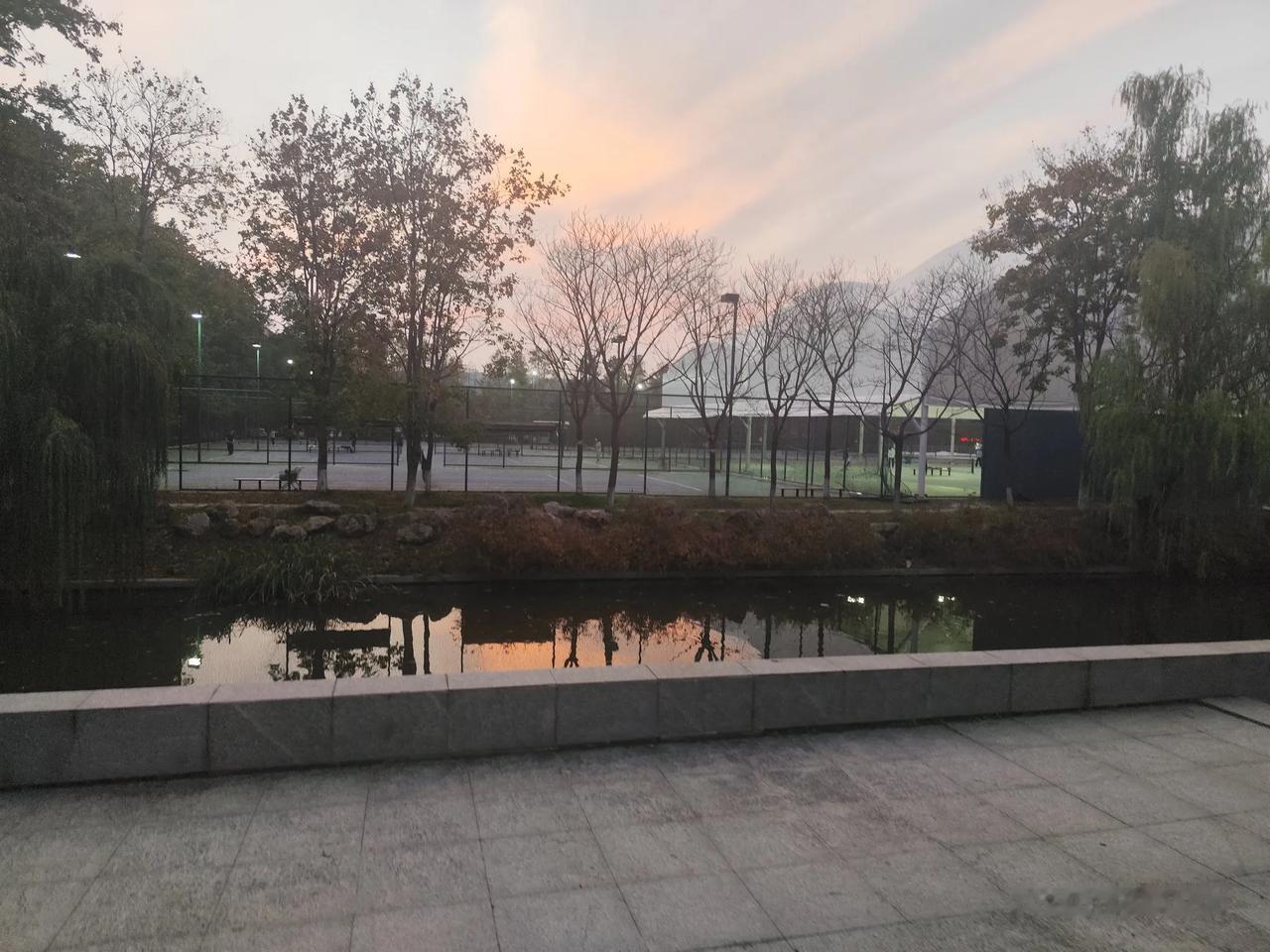 南京大学冬日时光