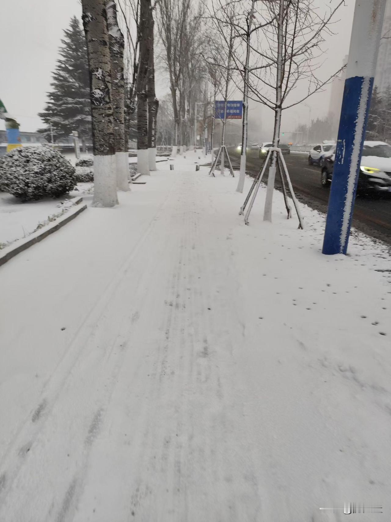 分享一下你随手拍下的照片