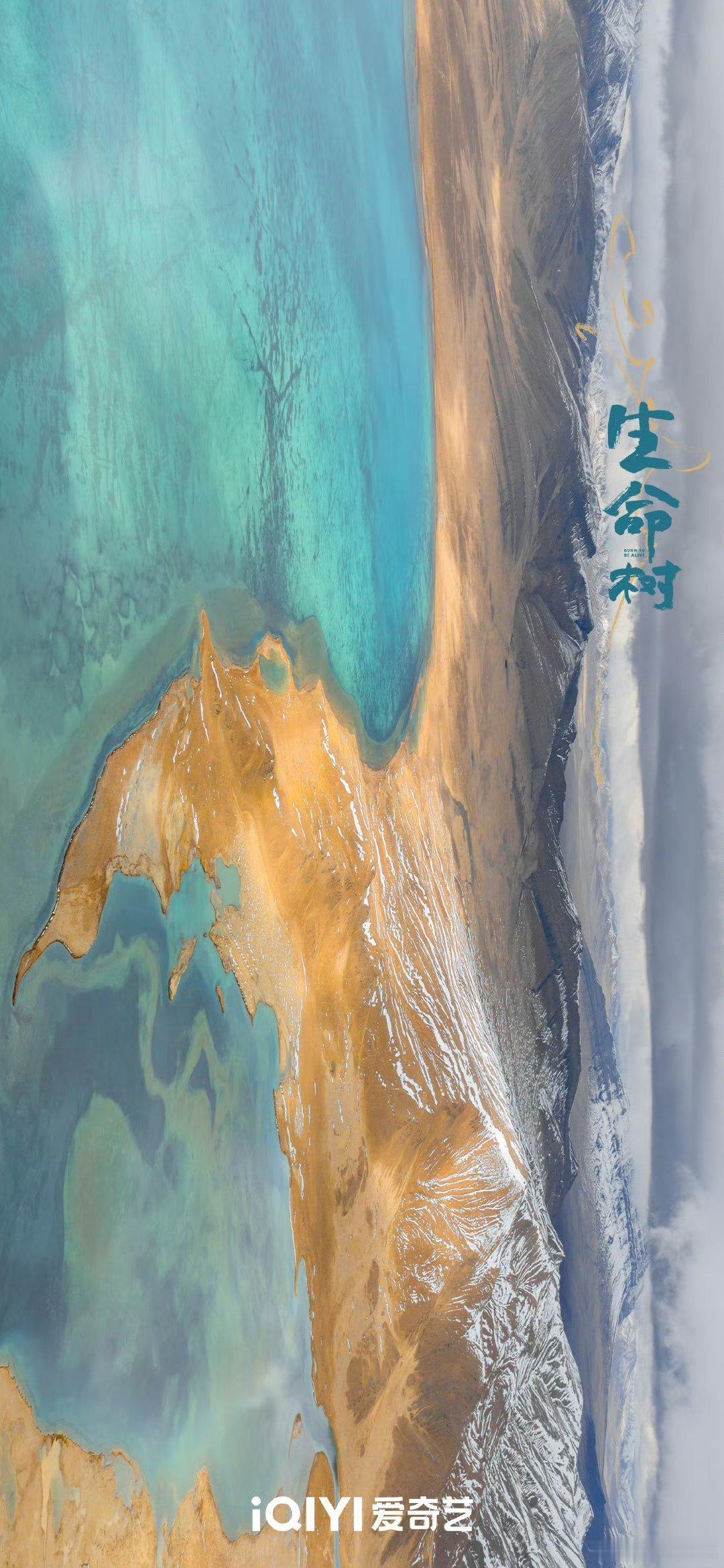 我现在对生命树云合的最低预期是力压2025年年冠