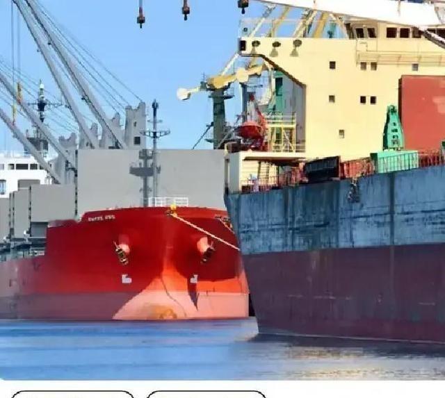 当一船满载6.9万吨巴西大豆的货轮靠泊江苏泰州码头时，谁也没想到，大豆中混入了约