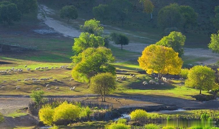 许多企业与上下游伙伴尝试“股权绑定”，却常陷入“联而不盟，合而不活”的困境。关键