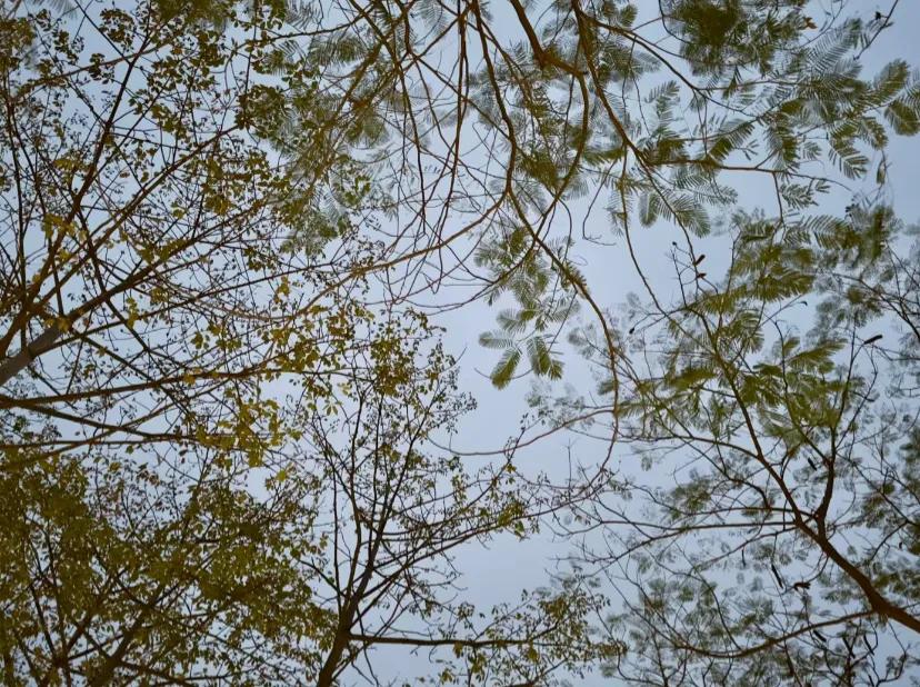 我有一个朋友，他是个奇怪的男生，每天看来挺开心的，但实际却经常emo，每天很晚睡