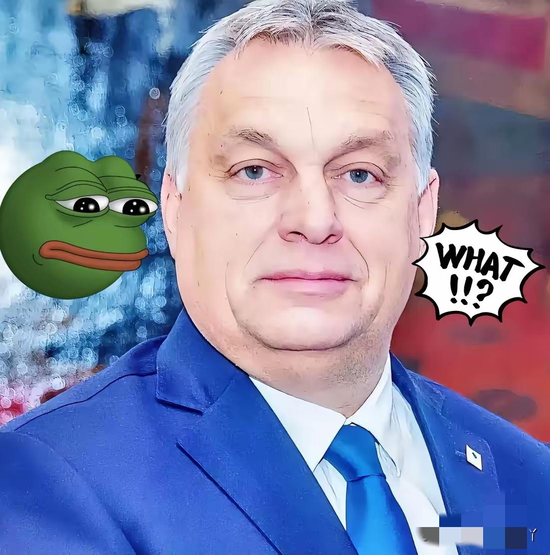 早间快讯！
​匈牙利总理宣布了！
​11月28日，匈牙利总理欧尔班在莫斯科与俄总