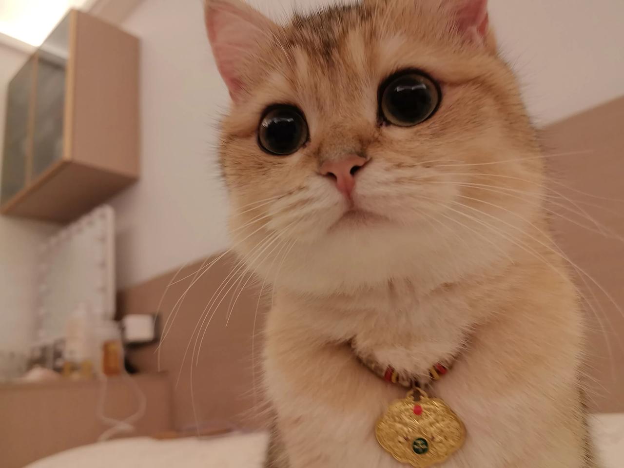 中俄通婚你能接受吗？
