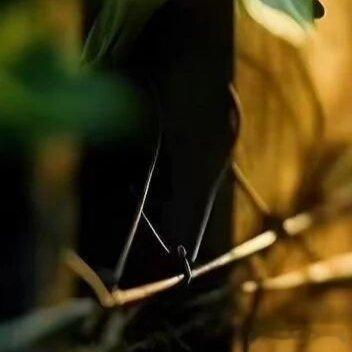 人生更像是一场充满苦难的修行，实属不易。想要通透过好此生，就得好好修炼自我，让自