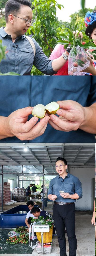 珠海荔枝鲜到西安人还没登机珠海荔枝先坐上头等舱✈️趣味名场面上演！荔枝抢先登上航