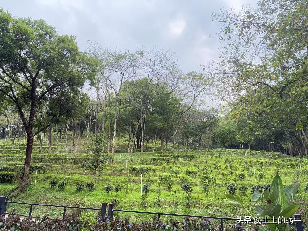 大姨上个月刚办好退休，广州企退3300元，29年工龄，现在她每天都过得很轻松，隔