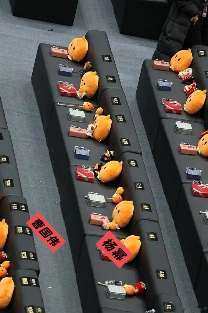 杨幂前面是曹国伟，左右各9个，还有人说不是c位想干嘛啊？ 