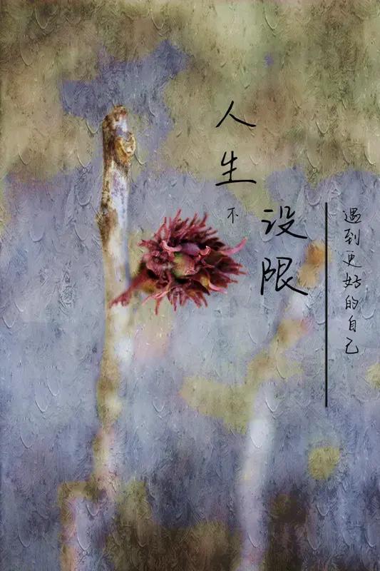 让我人生醒悟的话有不少。“少操无用的心，多赚救命的钱”，以前我总为一些琐事烦恼，