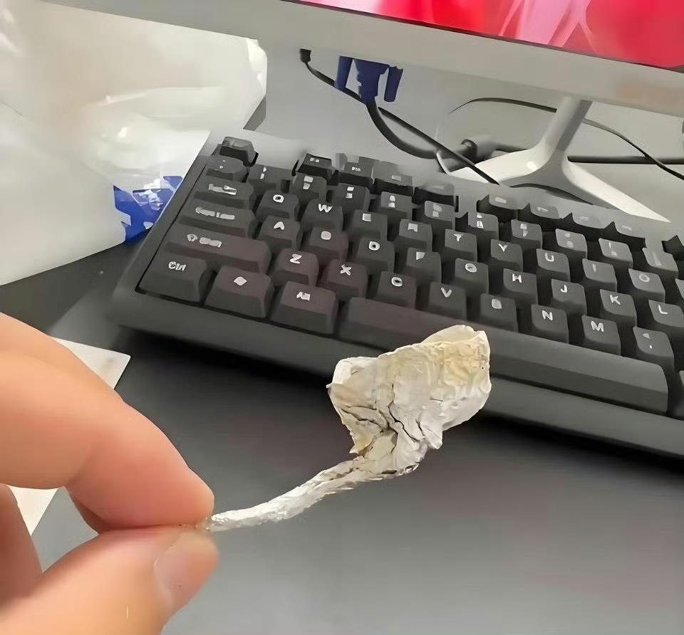 孩子房间发现的，这是什么？ ​​​