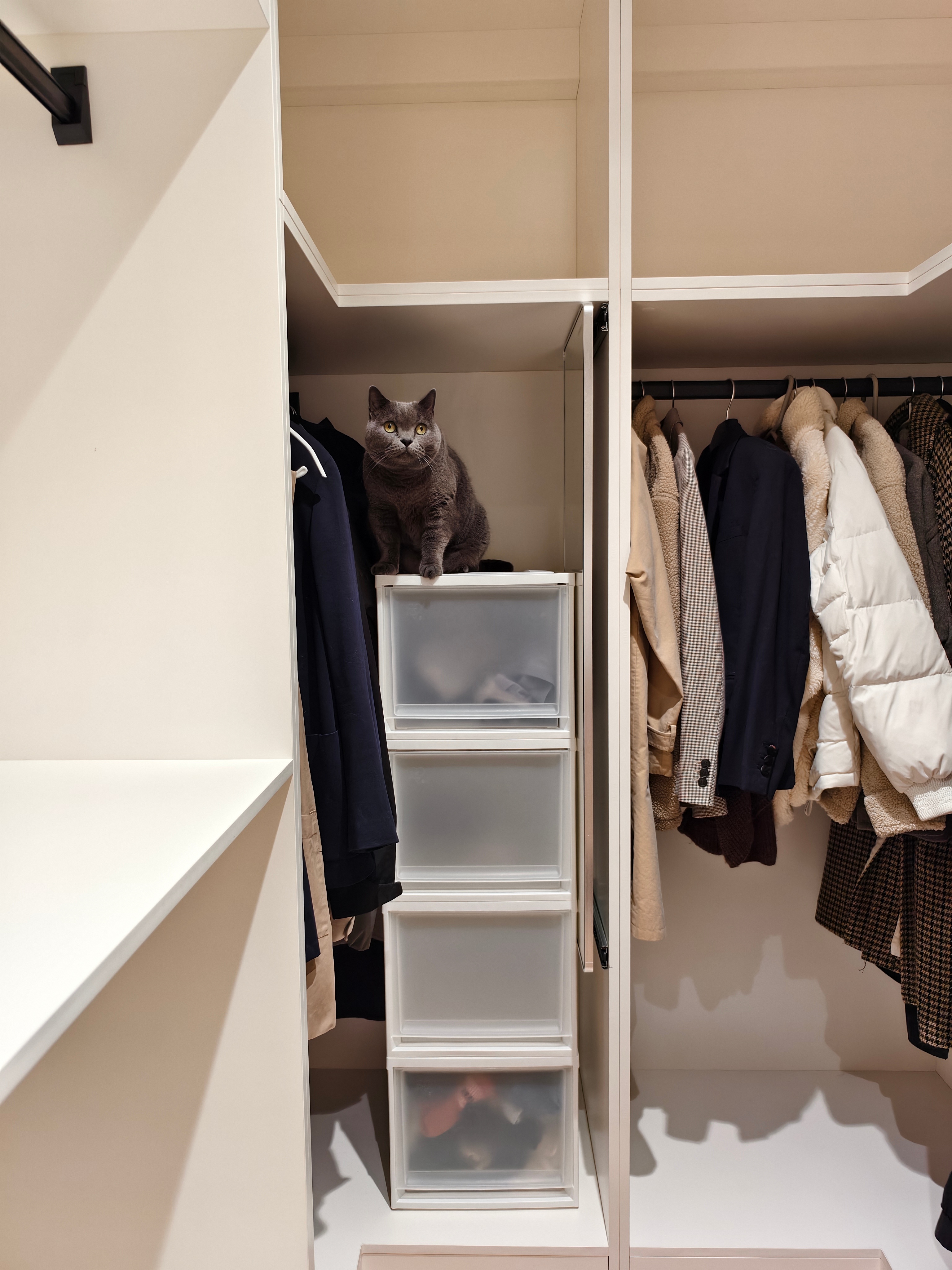 本周家务是收拾衣帽间小菇经常进来帮忙（捣乱）捏在我刚刚擦过的地方均匀地撒上一些小