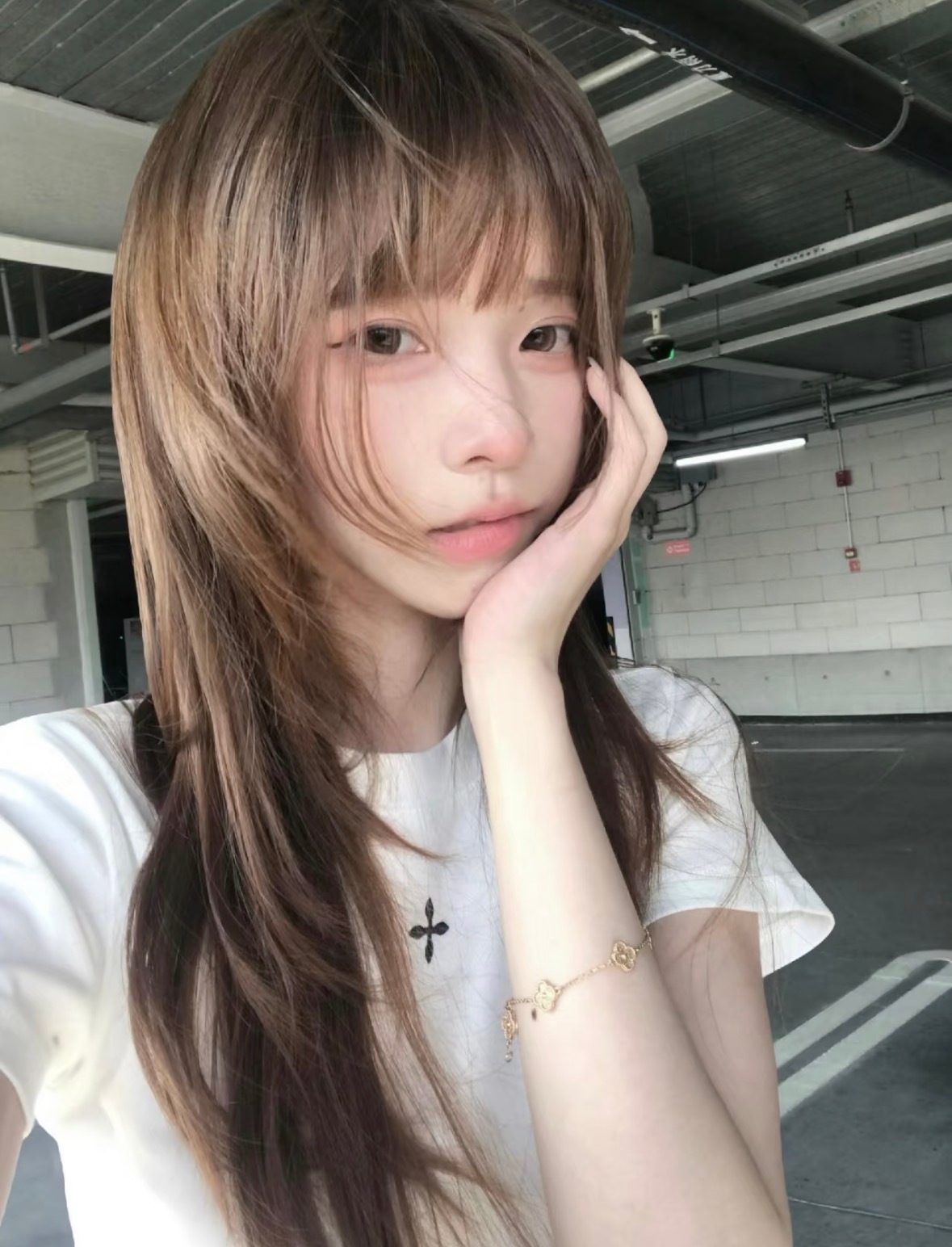 -𝐒𝐇𝐀𝐑𝐄｜𝔀𝓮𝓬𝓱𝓪𝓽 头像背景图搭配 ⸝🐈🐾🎗