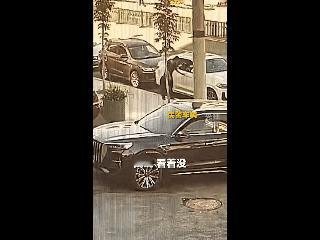 绝了！
男子路边拉车门盗窃，一拉拉开民警的车，这怕是透支了这辈子的运气才能一脚就