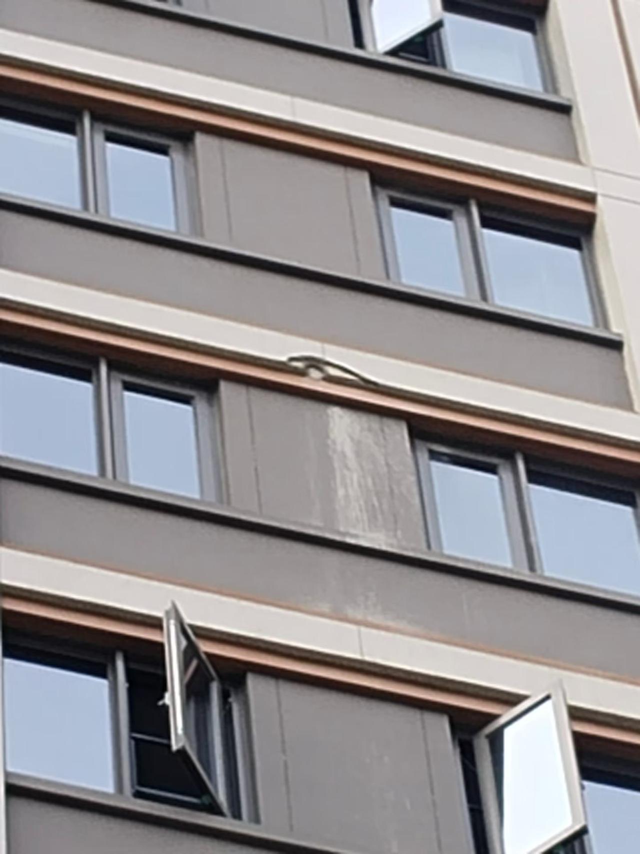 就外墙这一个窟窿，我要它360块贵了吗？常年放大绳补外墙的真石漆班组今天来活了，