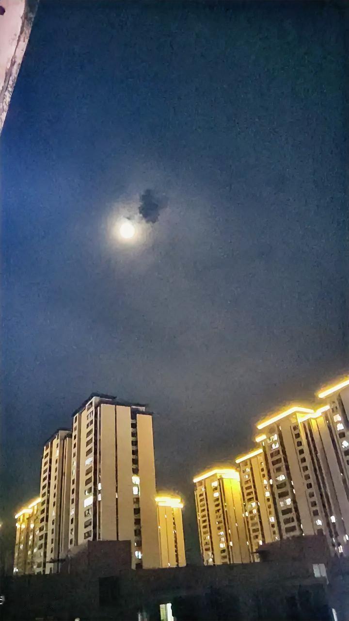 终于把“我”还给自己了。
 
撤回了小心翼翼的依赖，收回了毫无保留的温柔，也放下