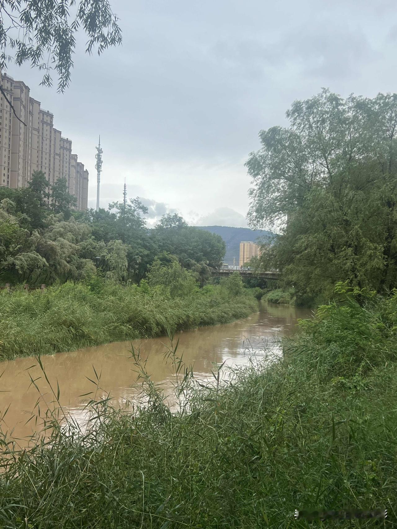 雨后未晴，天气转热。别看眼前这条小河貌不惊人，它却承载着防洪排洪的重任。一旦上游