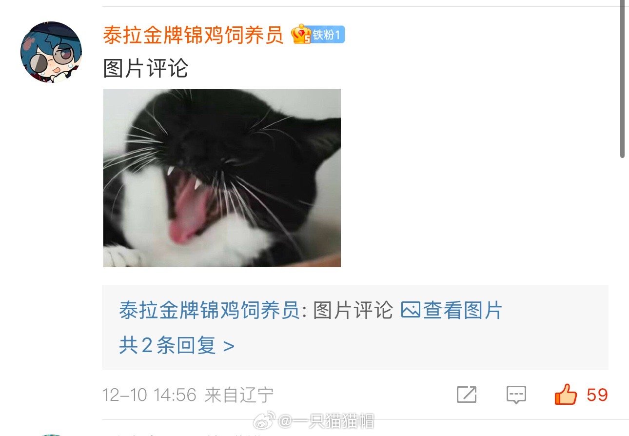 思考我什么时候能拍到山竹这个表情哈哈哈哈我好坏 