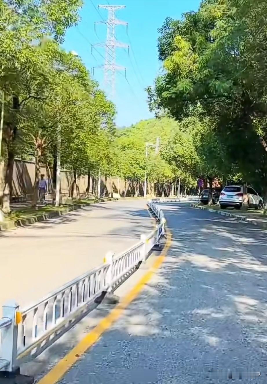 黄山鲁西门登山路有新规定啦！登山路全路段禁停，其实之前也是这个规定，不过这次为了