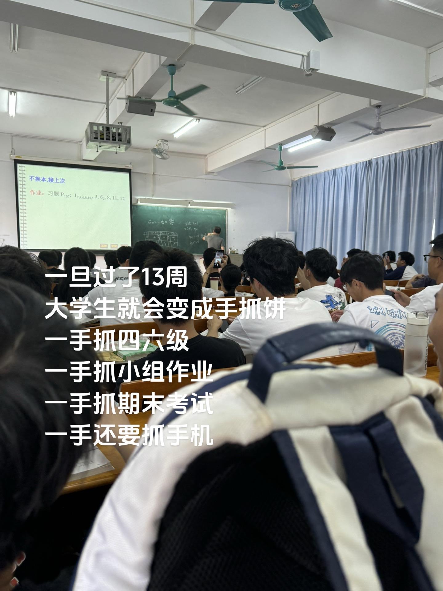 一旦过了13周 大学生就会变成手抓饼