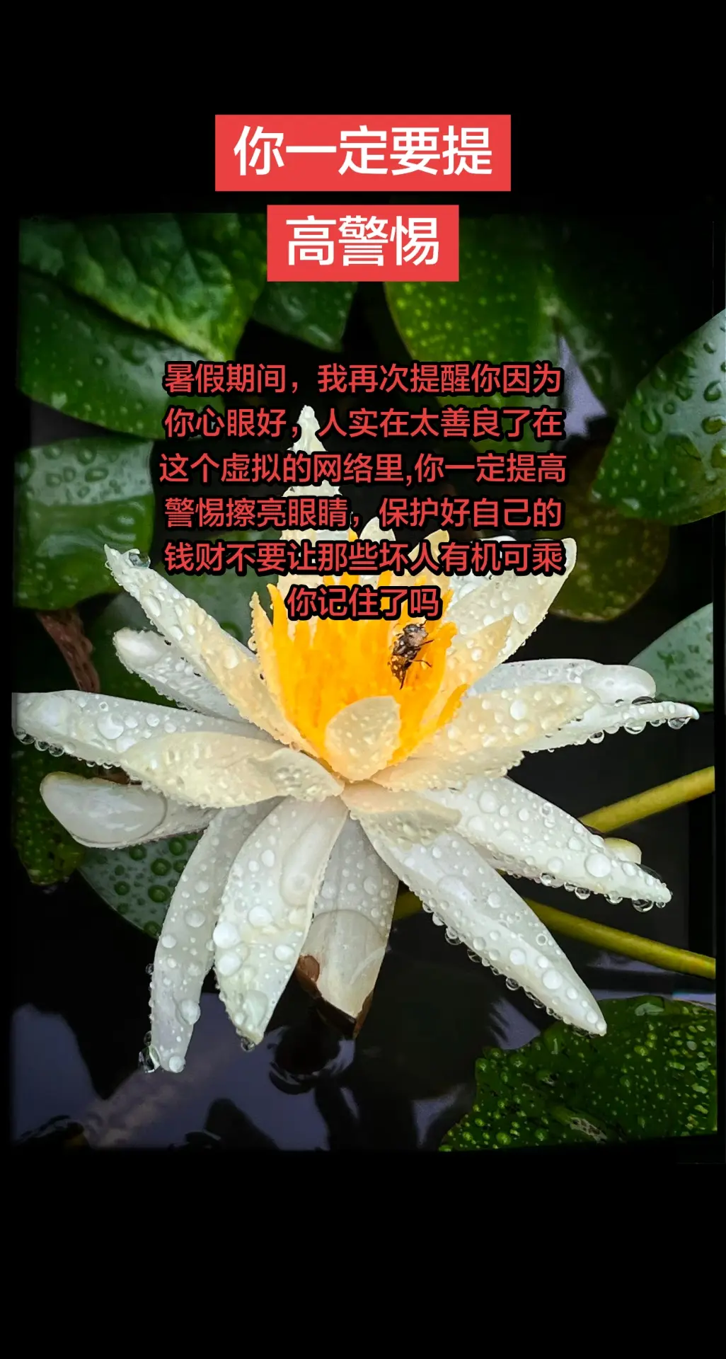 火山拍作品分10万