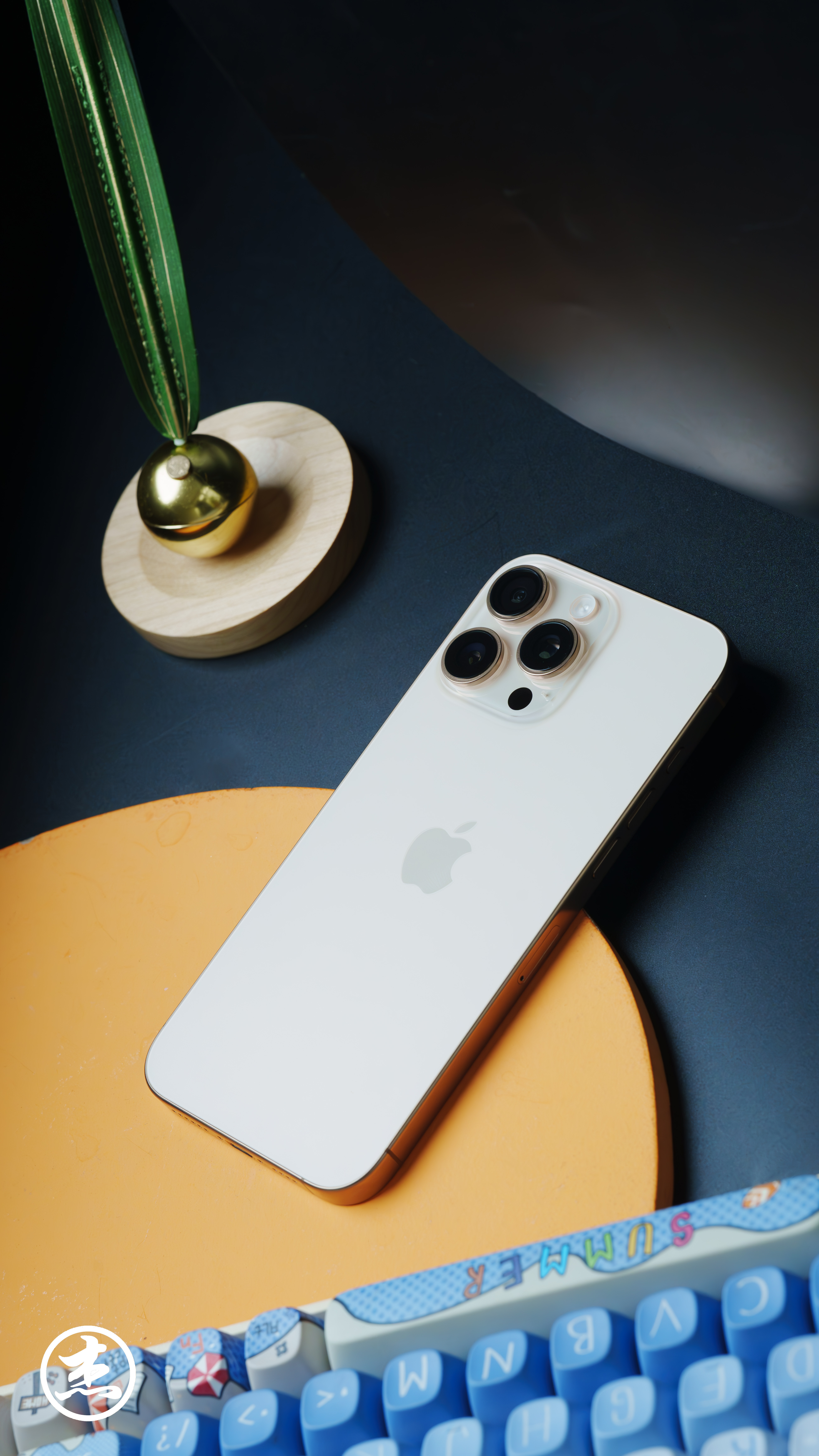 #iPhone16哪个型号跌幅最大#目前iPhone 16 Plus 跌幅最大，