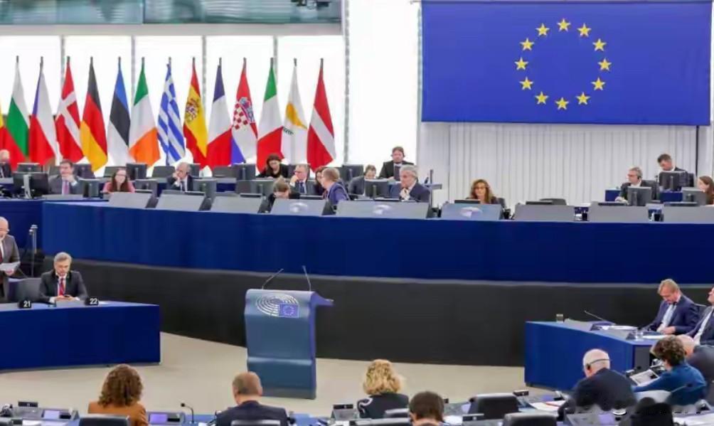 欧洲议会双标到极致！对特朗普抢格陵兰装瞎，却对中国内政指手画脚

欧洲议会真是把