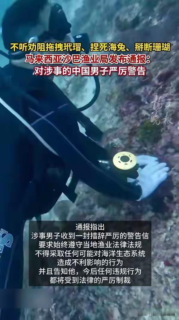 1月9日，马来西亚沙巴渔业局通报了一起令人气愤的中国男子潜水违规事件。该男子在仙
