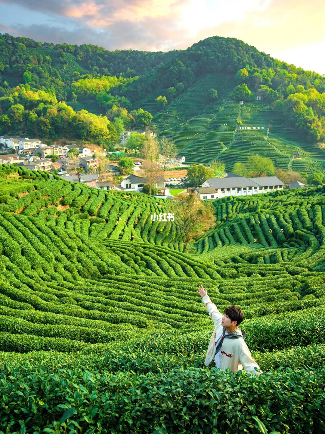 杭州春日吸氧｜西湖绝美茶田徒步路线