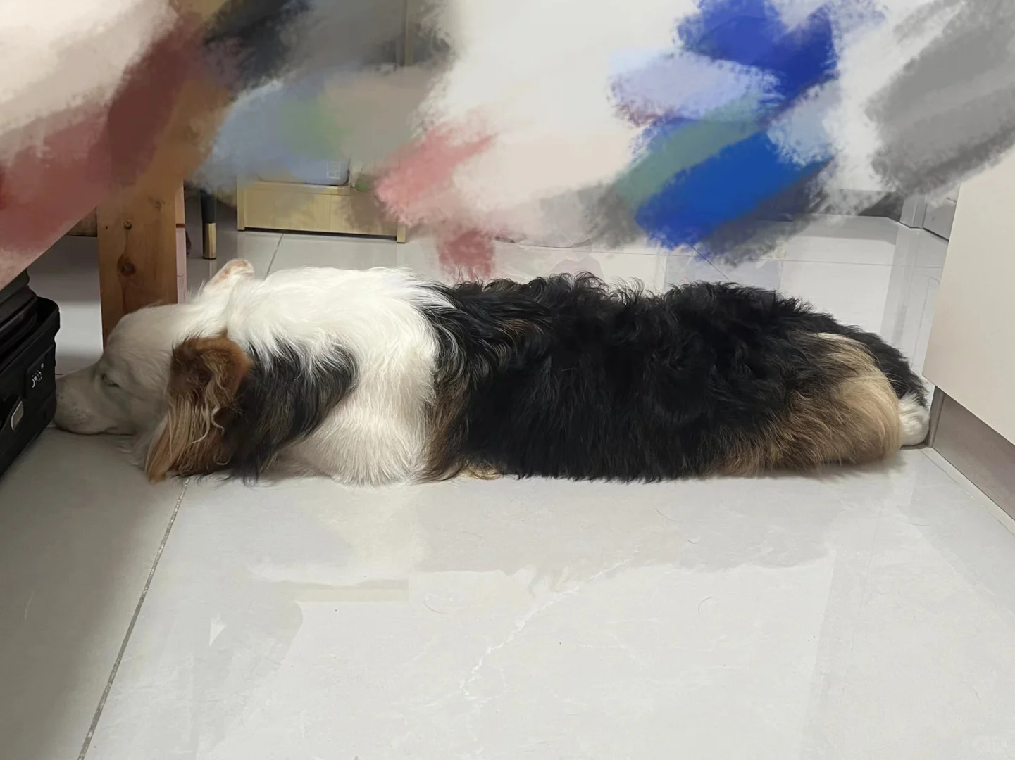 一根狗虫虫