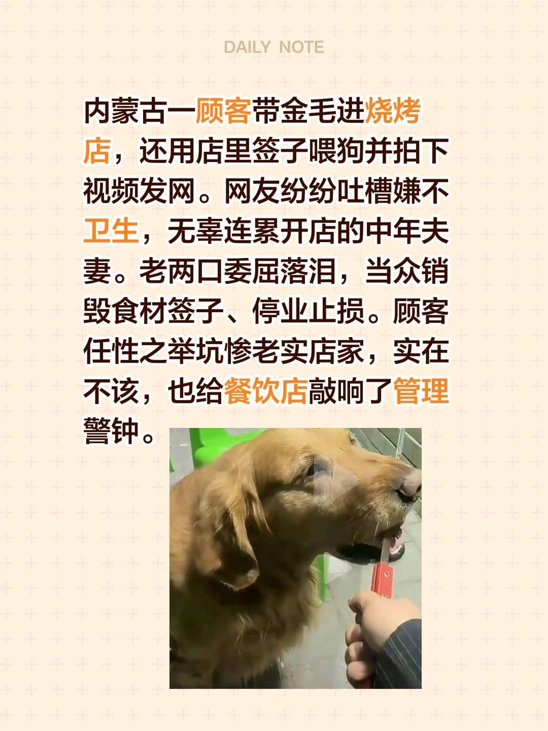 顾客用烧烤签喂宠物狗还发视频？内蒙古一顾客带金毛进烧烤店，还用店里签子喂狗并拍下