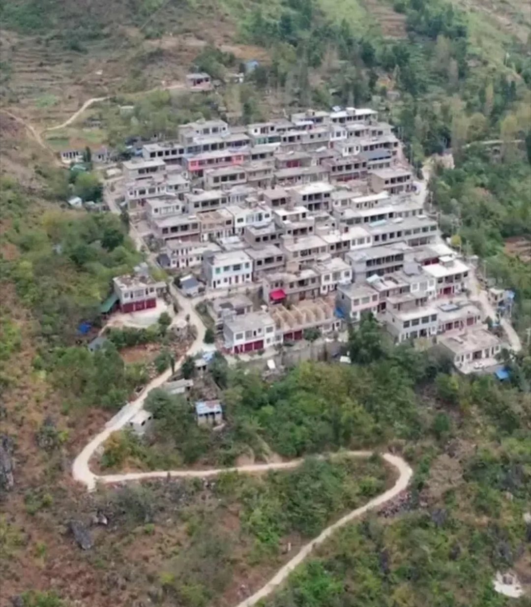 扎堆在一起，为啥不搬出去？[并不简单] ​​​