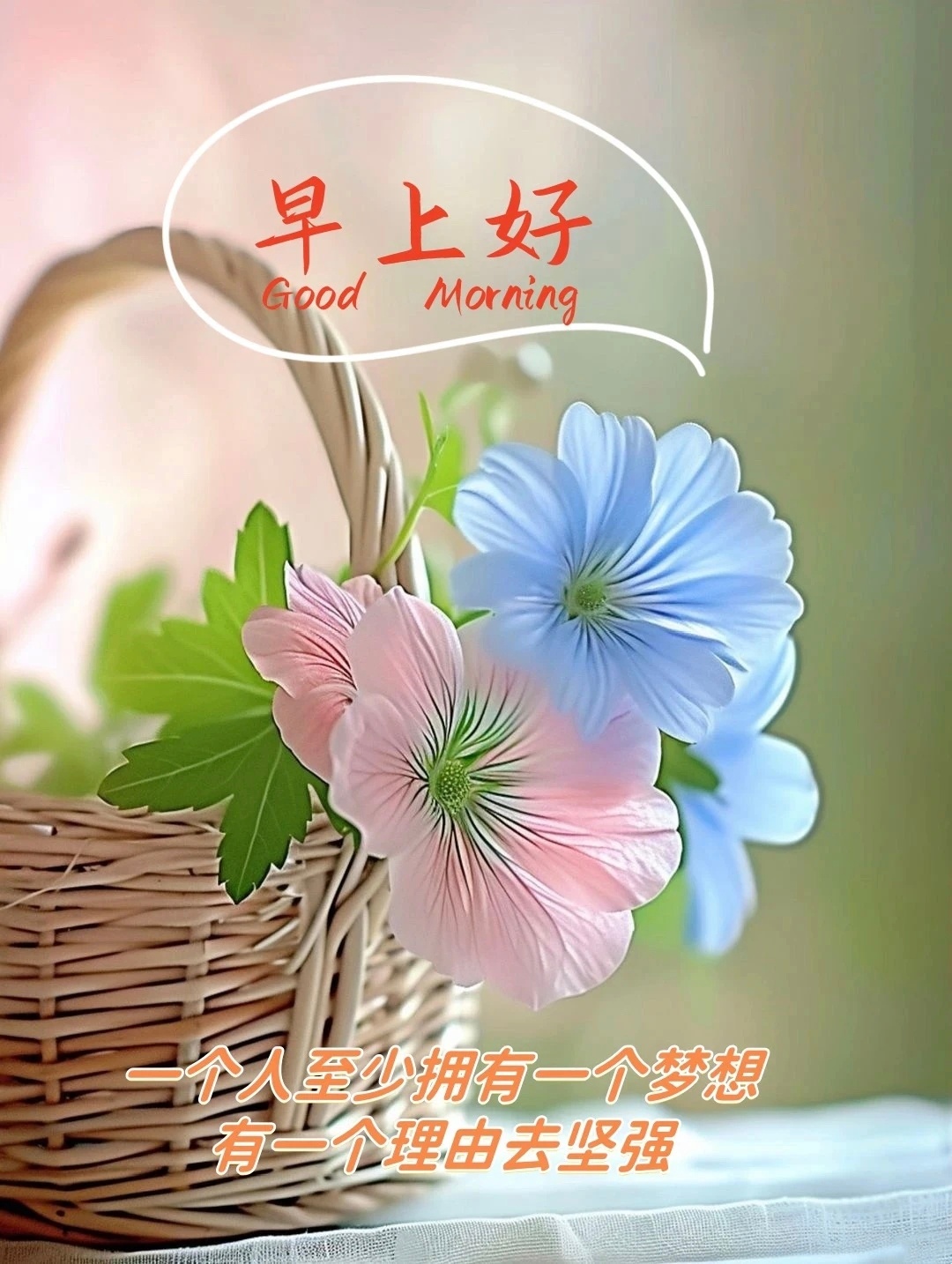 我们的生命，像那风中的尘埃，有时随风而起，有时又随风而落，但无论如何，我们都要坚