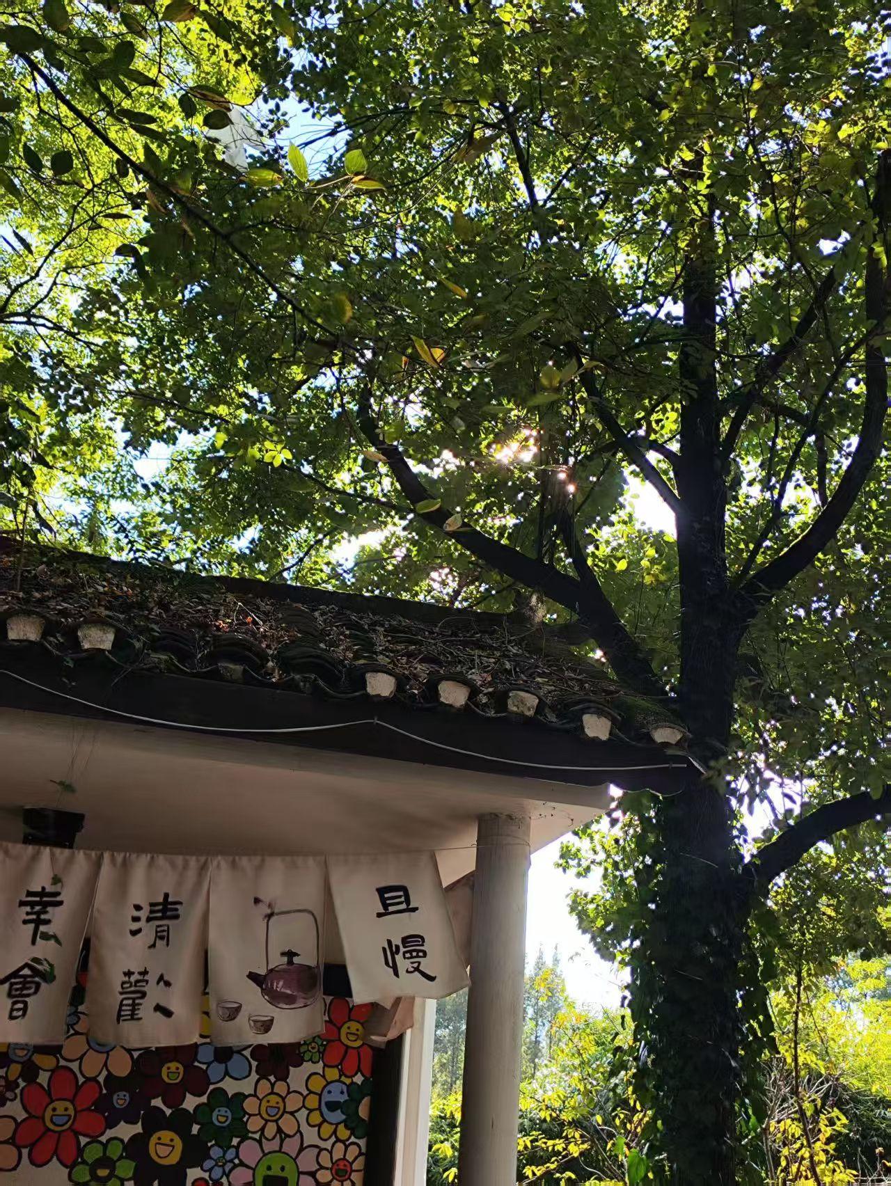 怎么找到复杂环境中的机会？
从眼前的波动中找。但是要做到提前布局准备，在机会来临